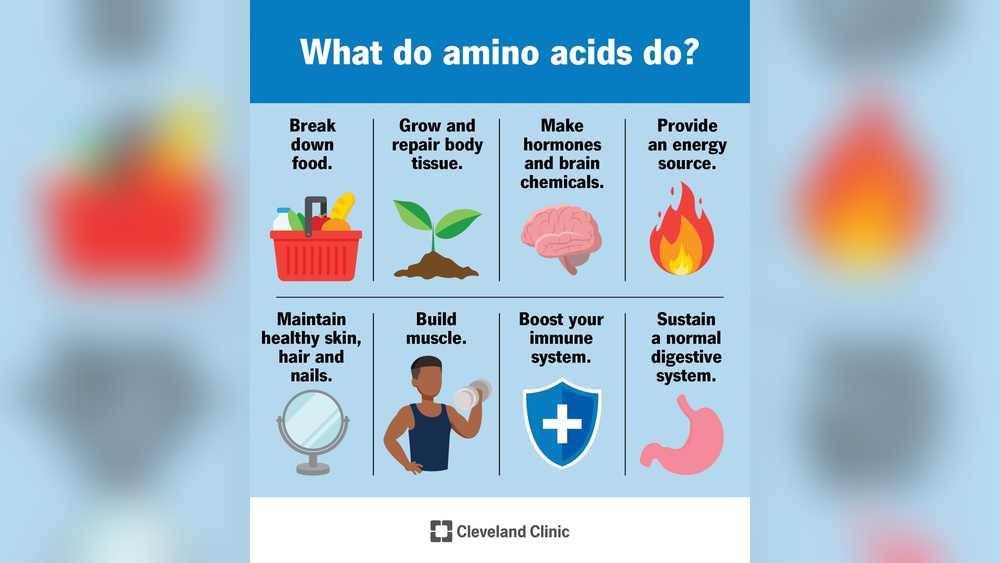 Are Amino Acids Good For You Benefits And Safe Use: Ultimate Guide