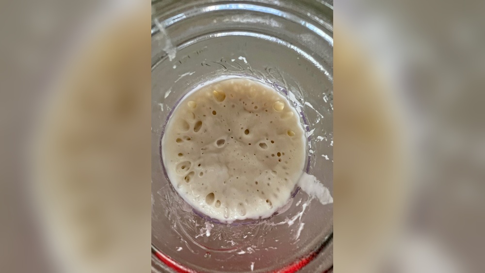 How Can I Tell If My Sourdough Starter Is Bad: Key Signs Revealed