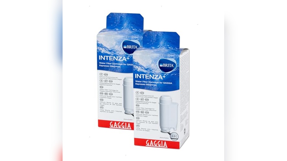 Intenza Water Filter for Gaggia Espresso Machines- Double Pack Review