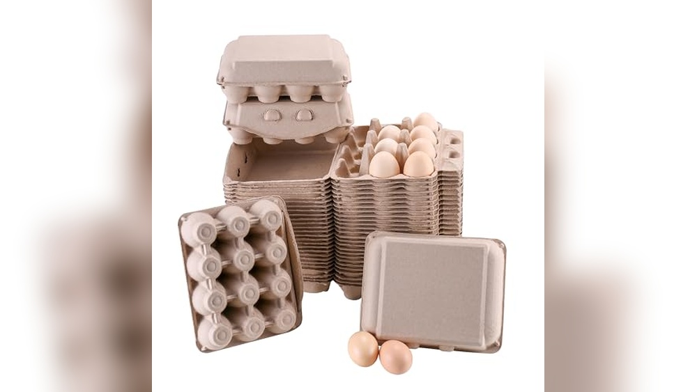 Egg Cartons Fresh Egg Box: Top Picks for Safe Storage 2024